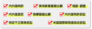 内外国特許 実用新案出願 相談・調査 内外国意匠 商標登録出願 内外国特許訴訟 特定不正競争訴訟 米国国債貿易委員会訴訟